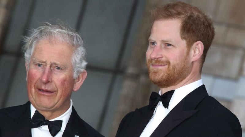 Rozbil Harry kvůli Meghan nos princi Andrewovi? Nová kniha odhaluje šokující potyčku