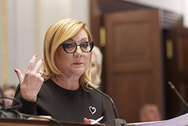 Schillerová o rozpočtu: Dám ho do pořádku. Jen divadlo, reaguje Skopeček