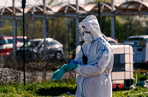Veterináři si stěžují na rozpočet. Poslední kapkou byla slintavka