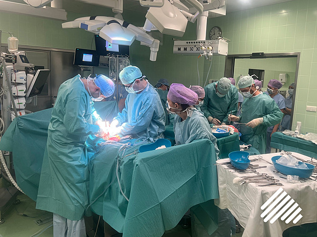 Český unikát. Lékaři odebrali dárci šest orgánů, všechny pak transplantovali