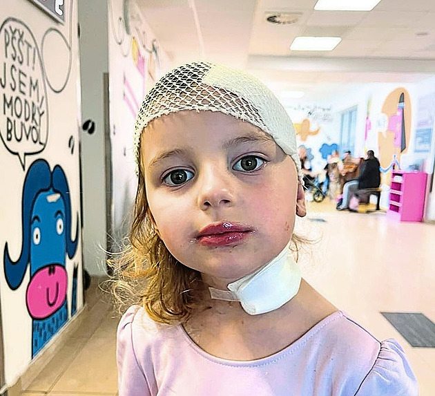 Pětiletá Anežka zápasí s vzácným typem rakoviny. Lidé jí darovali naději na zázrak