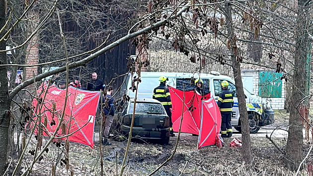 Totožnost mrtvého z auta nalezeného pod hladinou rybníka určí analýza DNA