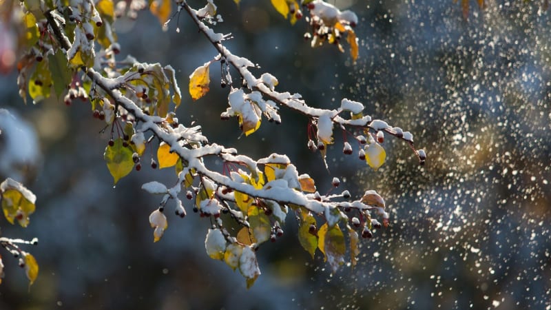 Do Česka se vrací mráz, varují meteorologové. MAPA ukazuje, kde přituhne