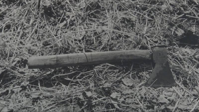 Vražedné běsnění Josefa. Během pár hodin ubil sekerou sedm lidí, neušetřil ani vlastní děti