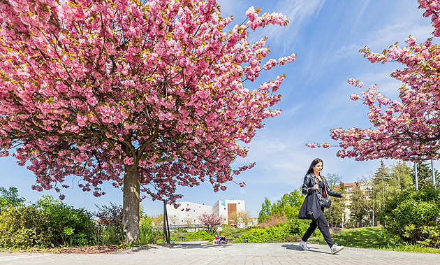 Na dva dny se oteplí až k 20 °C. Pak nastane změna, místy může i sněžit