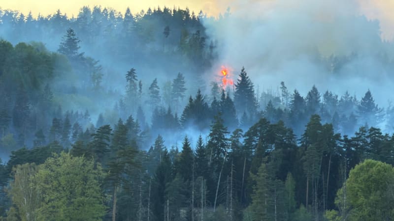 Požár v Českém Švýcarsku: Na místo míří posily z Prahy, oheň se už nešíří 